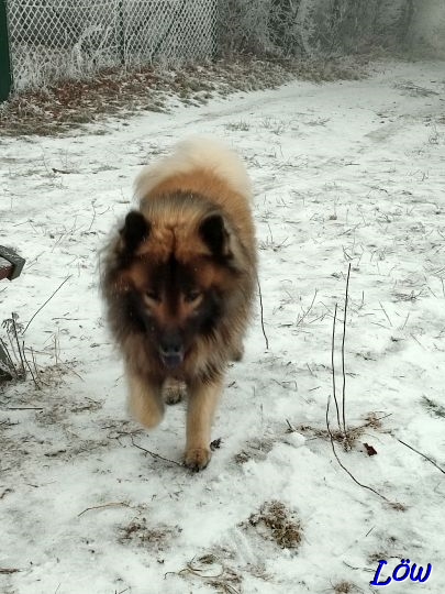 21.1.2025 - Dwix unterwegs